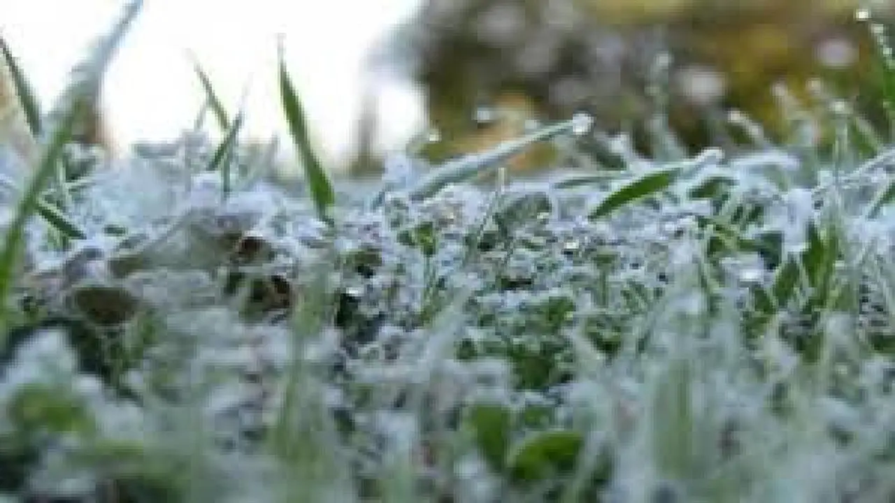 الأرصاد تطلق تحذيرات من تدني الرؤية الأفقية ومخاطر تشكل الصقيع في عدة مناطق